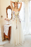 Elegante A Line Champagne Plus Size Galajurk met Appliques