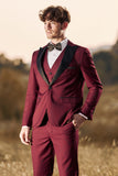 3 stuks Peak Lapel Burgundy heren galapakken