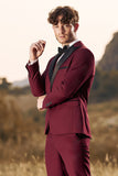 3 stuks Peak Lapel Burgundy heren galapakken