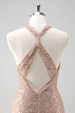 Glitter Blush Zeemeermin Halter Backless Lange Galajurk