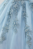 Prinses Grijs Blauwe Strapless Tule Quinceanera Jurk met Appliques