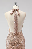 Glitter Champagne Zeemeermin Halter Open Terug Lange Galajurk met Pailletten