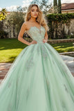 Mintgroene tule sweetheart prinses stoffen quinceanera jurk