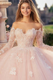 Prinses Roze Baljurk Off The Shoulder Lange Mouwen Tule Quinceanera Jurk met Kant Appliques