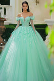 Mint Princess Off The Shoulder Tule Appliqued Quinceanera Jurk