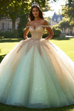 Sprankelende Champagne Ball jurk Off the Shoulder Tule Quinceanera jurk met kralen