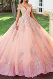 Blush Appliqued Off The Shoulder Quinceanera Jurk