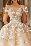 Champagne Ball Gown Off The Shoulder Opgestikte Tule Quinceanera Jurk