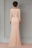 Blush Lace Sheath Moeder Van De Bruid Jurk Met Lange Mouwen