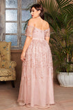 Blush Plus Size Lange Moeder van de Bruid Jurk met Appliques