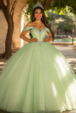 Glitter Lichtgroene Baljurk Lange Tule Quinceanera Jurk met Appliques