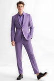 Purple Peak Rezel Slim Fit 2-delige herenpakken