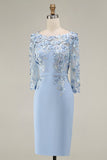 Lichtblauwe Bateau Neck Bodycon geappliqueerde midi Mother of the Bride jurk met 3/4 mouwen