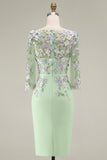 Lichtblauwe Bateau Neck Bodycon geappliqueerde midi Mother of the Bride jurk met 3/4 mouwen