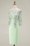 Lichtblauwe Bateau Neck Bodycon geappliqueerde midi Mother of the Bride jurk met 3/4 mouwen