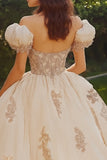 Prinses Blush Baljurk Off de Schouder Tule Quinceanera Jurk met Appliques