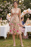 Tule A-lijn blush V-hals geborduurde bloemen midi jurk