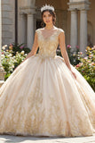 Champagne-appliqued V-hals baljurk Quinceañera jurk