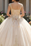 Champagne-appliqued V-hals baljurk Quinceañera jurk