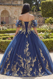Off-the-shoulder marineblauwe baljurk Quinceañera jurk met applicaties