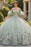 Saliegroene baljurk 3D bloemen prinses quinceañera jurk met pofmouwen