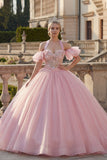 Roze baljurk met halterhals en appliqued quinceañera jurk met fladderende mouwen