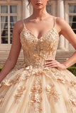 Baljurk Korset Champagne Quinceañera jurk met 3D bloemen