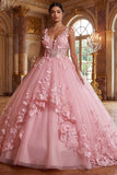 Roze V-hals baljurk met appliquatie quinceañera jurk