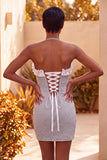 Lichtpaarse bodycon halterhals met geraffe kralenjurk homecoming jurk met kant op de rug