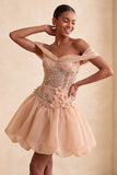 A-lijn roze off-the-shoulder korset homecoming jurk met bubble zoom en kant op de rug
