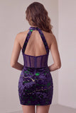 Donkerpaarse korset Doorschijnende Bodycon Fluweelen Cocktailjurk Hoge Hals, Doorschijnende Bodycon