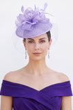 Lila Crinoline Lussen Vogelkooi Net, Fascinatorhoed met Veren