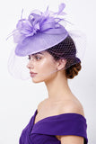 Lila Crinoline Lussen Vogelkooi Net, Fascinatorhoed met Veren
