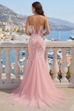 Roze V-hals zeemeermin-appliqued tule galajurk