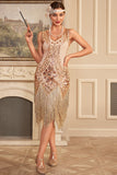 Abrikoos pailletten Fringe jaren 1920 Flapper jurk met 20s accessoires Set