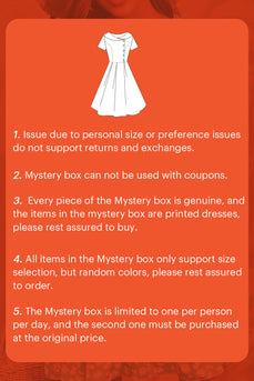 ZAPAKA MYSTERY BOX 2 x Bedrukte jurken