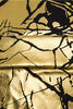 Afbeelding in Gallery-weergave laden, Sprankelende gouden gekerfde revers heren gala blazer