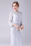 Zilveren Lace Sheath Lange Mouwen Vloer Lengte Moeder van de Bruid Jurk