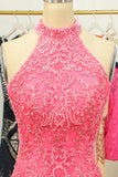 Roze Open Back Halter Lace Strakke Homecoming Jurk