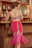 Two Pieces Fuchsia Gatsby 1920s Flapper Jurk met Franjes