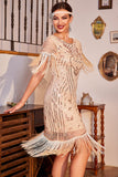 Pailletten Champagne Roaring 20s Great Gatsby Fringed Flapper Jurk met Mouw