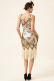 Gouden en zilveren pailletten franjes 1920s Gatsby Flapper Jurk met 20s accessoires Set