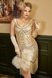 Abrikoos Plus Size 1920s Gatsby Jurk met 20s Acessories Set