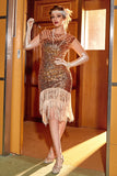 Roze Pailletten Gatsby 1920s Flapper Jurk