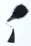 Jaren 1920 Feather Lace Fan