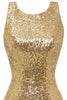 Afbeelding in Gallery-weergave laden, Bodycon Gouden Pailletten Cocktail Jurk Open Rug