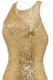 Bodycon Gouden Pailletten Cocktail Jurk Open Rug